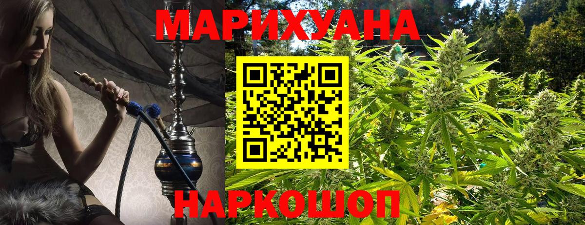 Шебекино  Бошки марихуана семена  Каннабис индика  Вход с VPN  Шишки марихуана сатива 